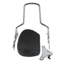 Detachable Backrest Sissy Bar W/Pad For Harley Touring FLHR FLHX FLHT FLTR 2009-2019