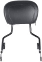 Detachable Backrest Sissy Bar Touring 2009-2022