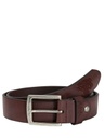 Tiger Leather Belt