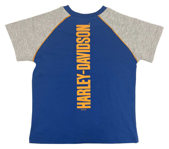 Little Boys' Colorblocked Short Sleeve Raglan Toddler Tee and Slacks - Blue