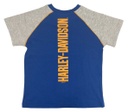 Little Boys' Colorblocked Short Sleeve Raglan Toddler Tee and Slacks - Blue