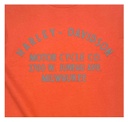 Big Boys' Double Layered Short Sleeve Tee, Orange/Gray