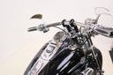 Dyna Fatbob FXDF 103/1690, 2012