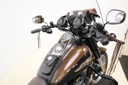 Softail Fatboy FLSTFI 103/1690 Low Special 110 th ann., 2013