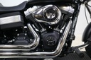 Dyna Fatbob FXDF 103/ 1690, 2012