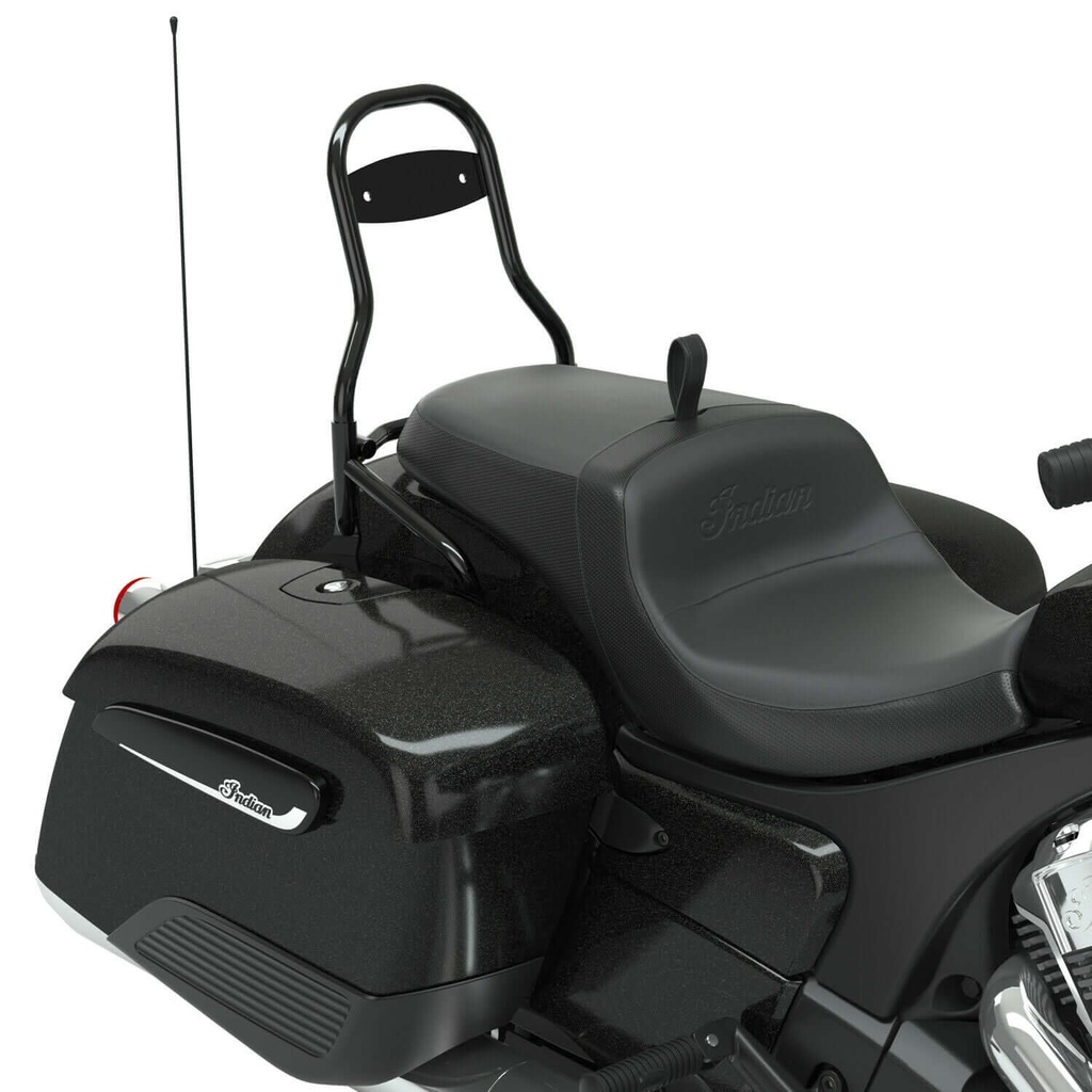 Steel 12 in. Universal Quick Release Passenger Sissy Bar, Thunder Black