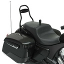 Steel 12 in. Universal Quick Release Passenger Sissy Bar, Thunder Black