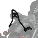 Bolt-On Backrest, Chrome