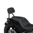 Passenger Touring Backrest Pad
