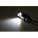 License Plate Light, LED Chrome