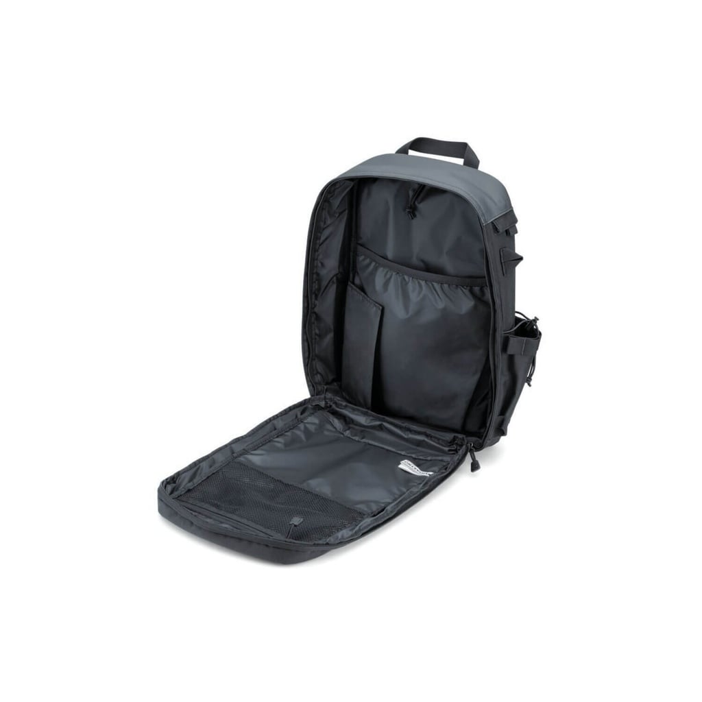 Momentum Backpack