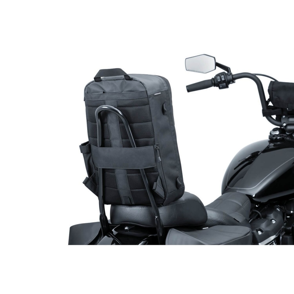 Momentum Backpack