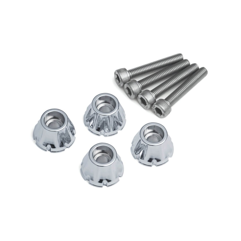 Decorative Windshield Screws