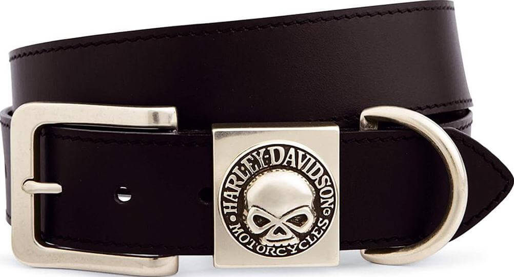 Skull Keeper Belt