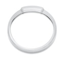Gauge Visor Ring