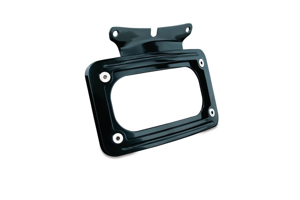 Curved License Plate Mount