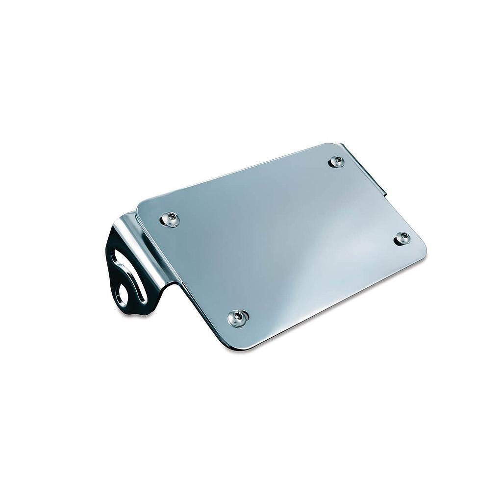 License Plate Turn Signal Mount