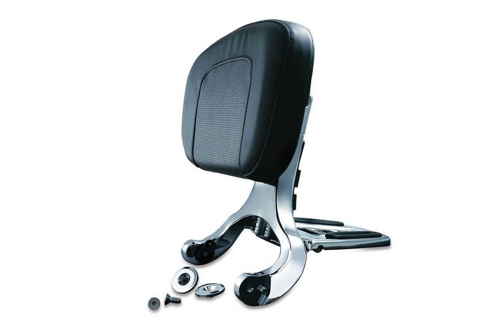 Multi-Purpose Driver &amp; Passenger Backrest