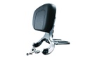 Multi-Purpose Driver &amp; Passenger Backrest