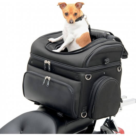 PC3200C Convertible Pet Carrier