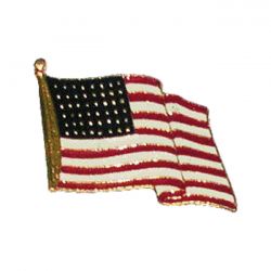 Amercan Flagg Pin