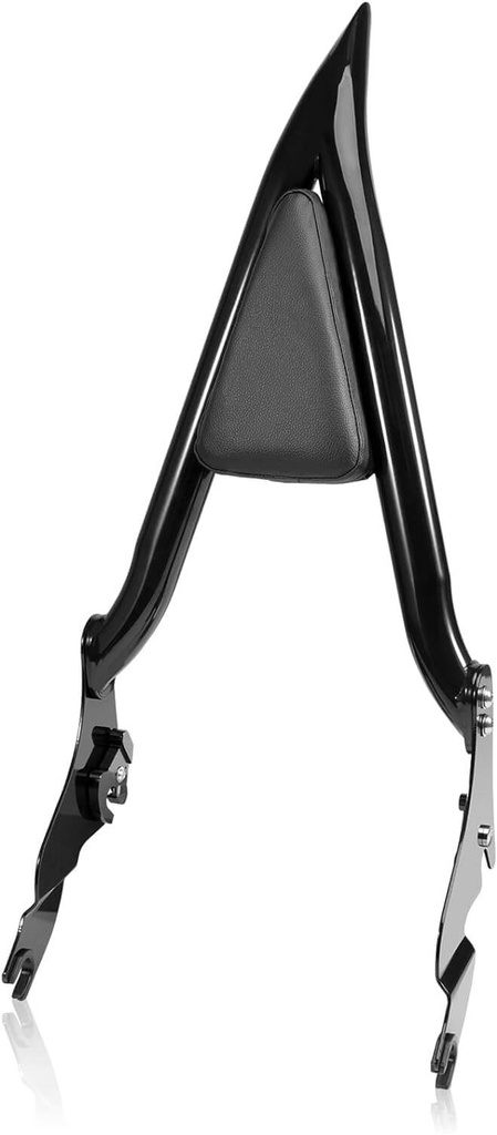 Detachable Sissy Bar for HD 2021-2024