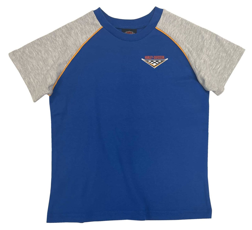 Little Boys' Colorblocked Short Sleeve Raglan Toddler Tee and Slacks - Blue