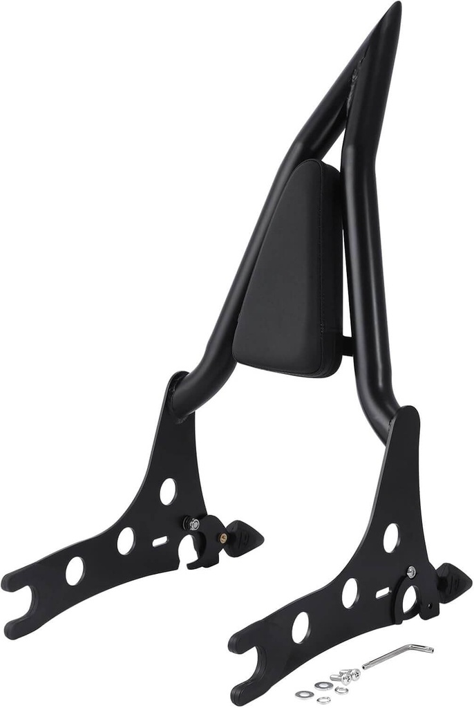 Rear Passenger Backrest Sissy Bar for Indian