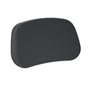 Passenger Touring Backrest Pad