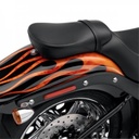 Brawler Passenger Pillion, Vinyl