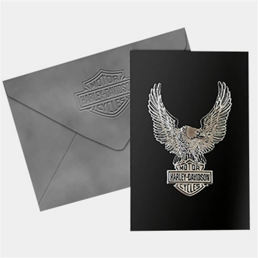 [HDL-20076] Upswept Eagle Bar &amp; Shield Foiled Stamp Thank You Cards, 12 pack