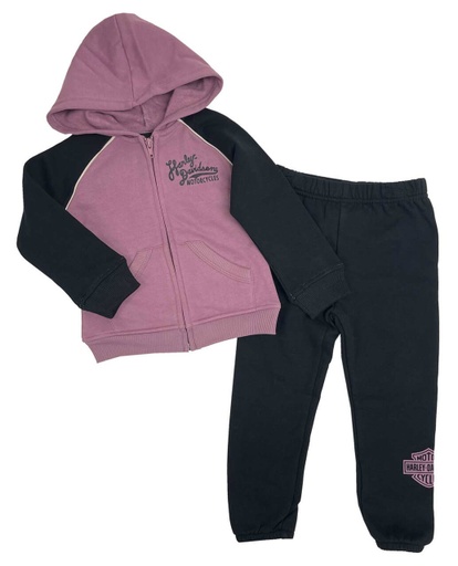 Little Girls' 2 Piece Toddler Fleece Hoodie Jog Set