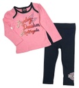 Little Girls' 2 Piece Toddler Long Sleeve Tee & Knit Pant Set