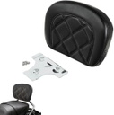 Passenger Backrest Pad for HD Touring 1984-2020