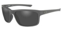 Twin Sunglasses, Smoke Gray Lenses & Matte Gray Frames