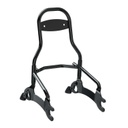 Steel 12 in. Universal Quick Release Passenger Sissy Bar, Thunder Black