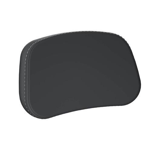[2890358-VBA] Passenger Touring Backrest Pad