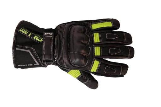 Winter Pro