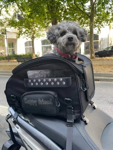 [JM2900] Pet Bag, 30 Liters