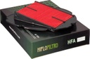 HFA4915 Luftfilter TDM900 02-